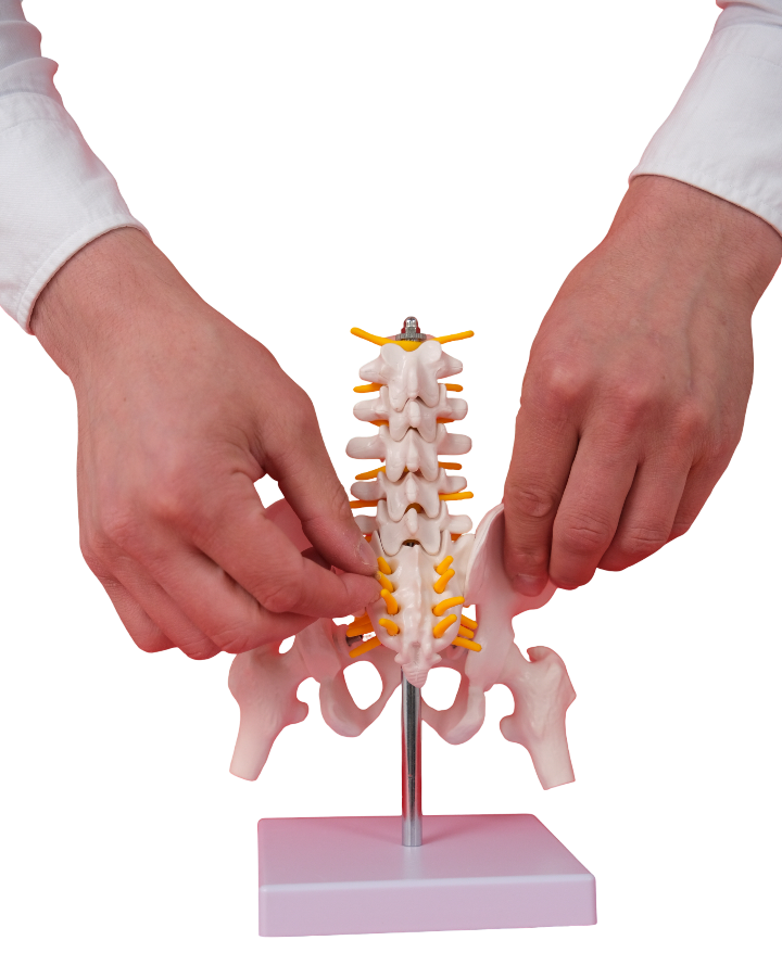 Изображение услуги Алгология