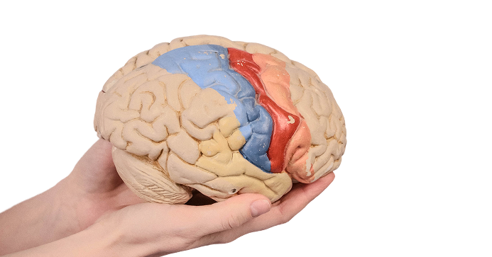 Изображение услуги Неврология